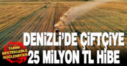 Denizli tarımı hibe destekleriyle güçleniyor