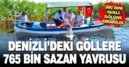 Denizli’deki göllere 765 bin sazan yavrusu bırakıldı