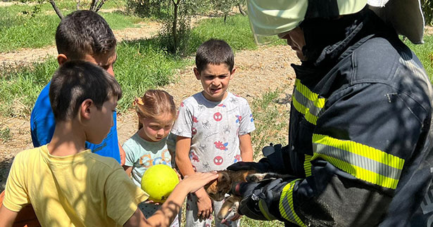 Kuyuya düşen kediyi çocukların dikkati kurtardı