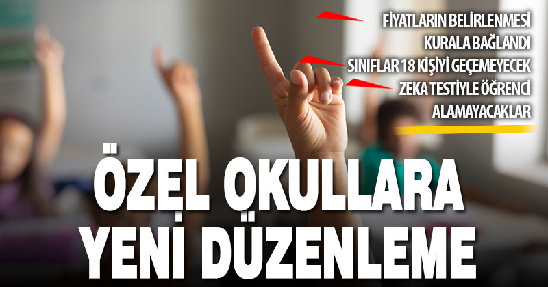 Özel okullar yönetmeliği yeniden düzenlendi