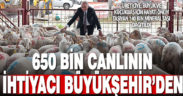 Denizli Büyükşehir, 650 bin küçükbaş ve büyükbaş için 140 bin mineral taşı dağıttı