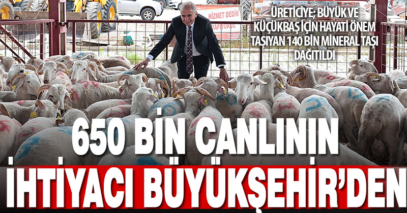 Denizli Büyükşehir, 650 bin küçükbaş ve büyükbaş için 140 bin mineral taşı dağıttı