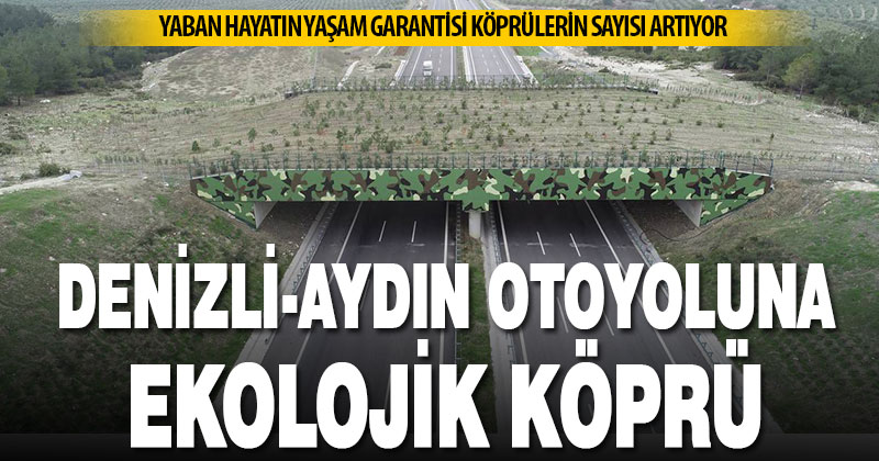 Denizli-Aydın otoyoluna, yaban hayatı için ekolojik köprü yapılacak