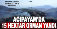 Acıpayam’daki orman yangınında 15 hektar ağaçlık alan zarar gördü