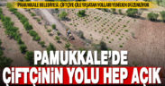 Pamukkale Belediyesi, çiftçiye çile yaşatan yolları düzenledi