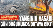 Yangının neden olduğu hasar gün doğumuyla ortaya çıktı