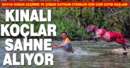 Koyun Sudan Geçirme ve Çoban Bayramı etkinliği için geri sayım başladı