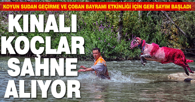 Koyun Sudan Geçirme ve Çoban Bayramı etkinliği için geri sayım başladı