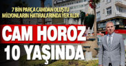 Cam horoz 10 yaşında…
