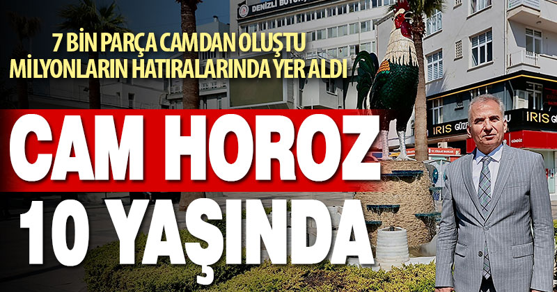 Cam horoz 10 yaşında…