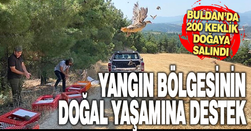 Buldan’da yangın bölgesine 200 keklik salındı