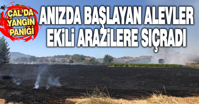Çal’da çıkan örtü yangınında 50 dekar alan zarar gördü