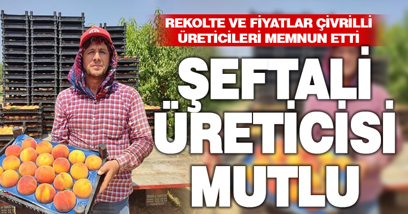 Talep artışı sonrası oluşan fiyatlar şeftali üreticisini memnun etti