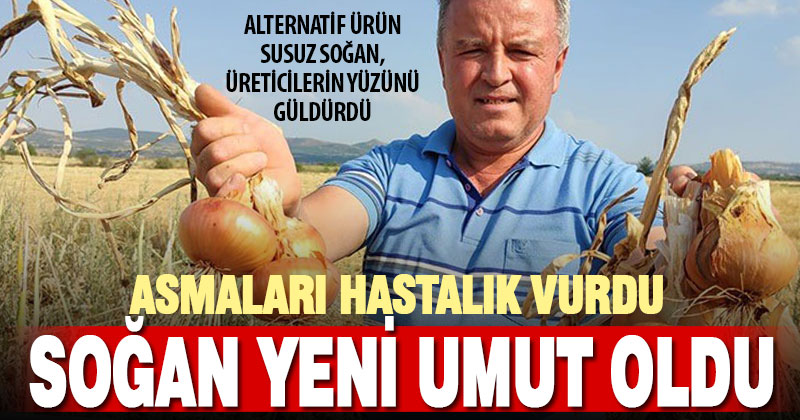 Soğan çiftçinin yeni umudu oldu