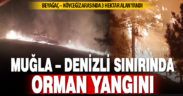 Muğla-Denizli sınırındaki orman yangınında 3 hektarlık alan kül oldu
