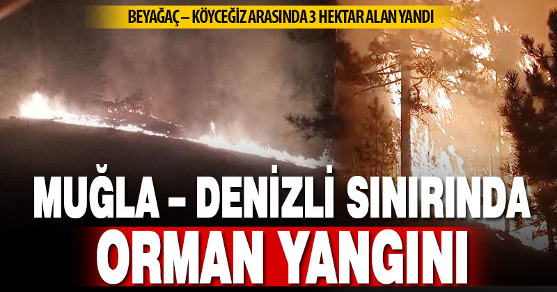 Muğla-Denizli sınırındaki orman yangınında 3 hektarlık alan kül oldu