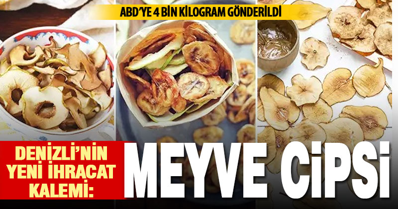 Kurutulmuş meyveye yeni bir anlayış katan meyve cipsinden ABD’ye 4 ton ihraç edildi