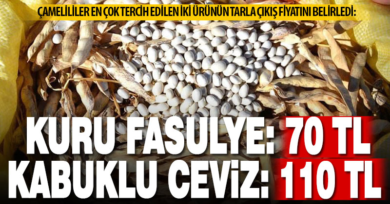 Üreticiler, Çameli fasulyesi ve cevizi için fiyat belirledi