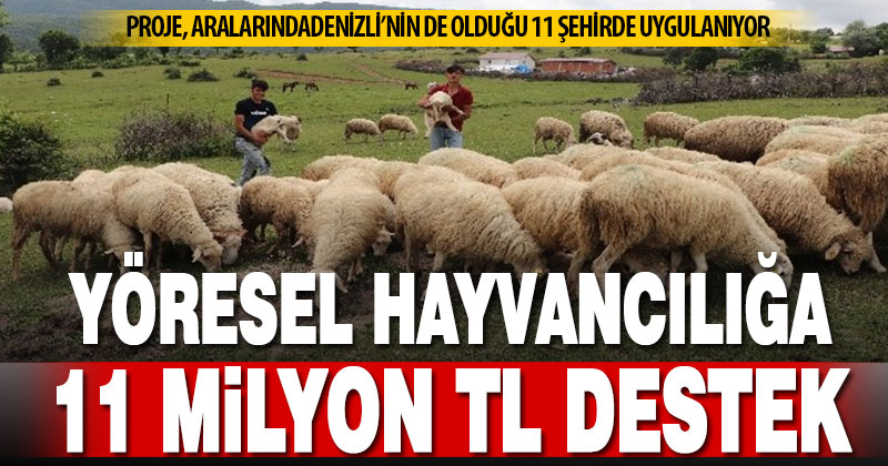 Tarım ve Orman Bakanlığından yöresel hayvancılık projelerine hibe desteği