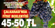 Üretici, Çalkarası kuru üzüm için 45-50 TL fiyat bekliyor