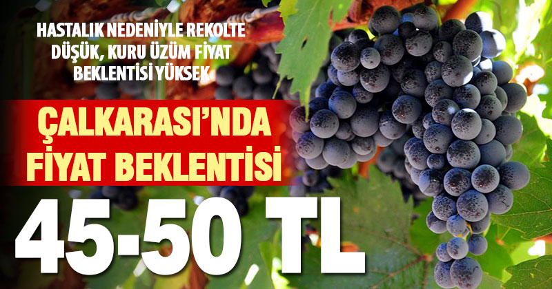 Üretici, Çalkarası kuru üzüm için 45-50 TL fiyat bekliyor