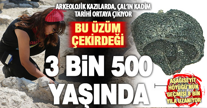 Çal’ın geçmişi binlerce yıl öncesini işaret ediyor: 3 bin 500 yıllık üzüm çekirdeği bulundu