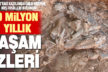 Denizli’de 9 milyon yıl öncesine ait oklu kirpi ve kuş fosili bulundu
