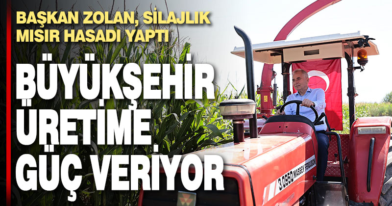 Başkan Zolan, silajlık mısır hasadı yaptı