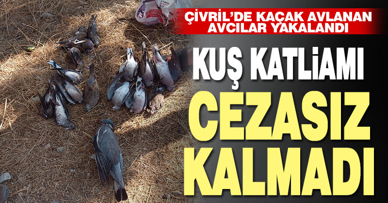 Kaçak avcılara göz açtırılmıyor