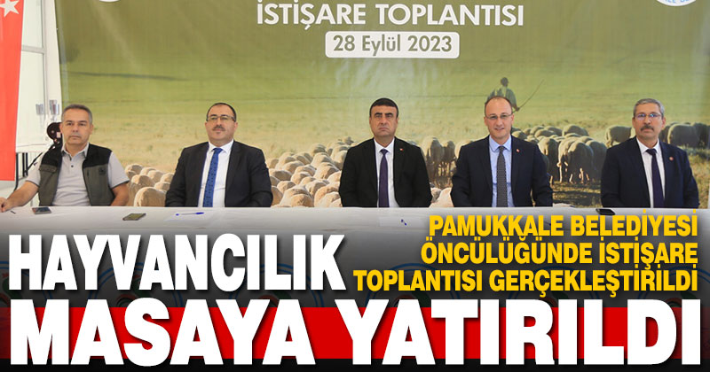 Pamukkale Belediyesi öncülüğünde ilçenin hayvancılık sektörü değerlendirildi