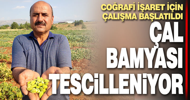 Çal bamyasının tescillenmesi için çalışma başlatıldı