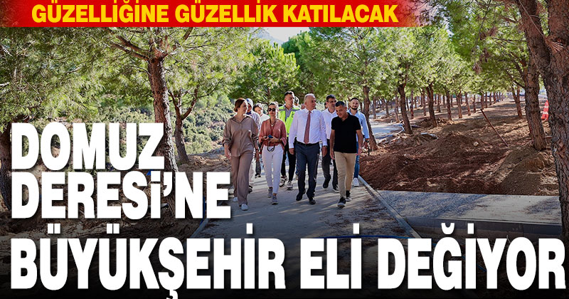 Domuz Deresi’ne Büyükşehir eli değiyor