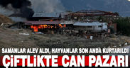 Çiftlikteki samanlar alev alev yandı, çok sayıda hayvan son anda kurtarıldı