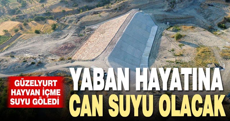 Güzelyurt HİS Göledi yaban hayatına can suyu olacak