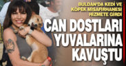 Buldan’da kedi ve köpek misafirhanesi hizmete girdi