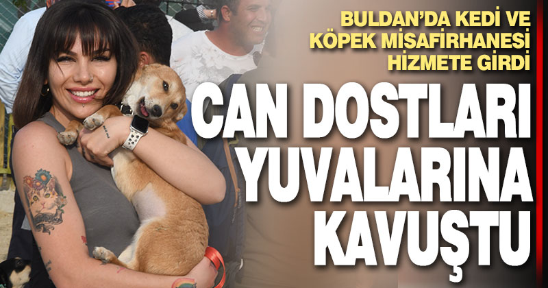 Buldan’da kedi ve köpek misafirhanesi hizmete girdi