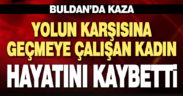 Yolun karşısına geçmeye çalışan kadın kazada yaşamını yitirdi