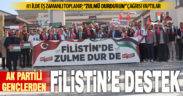 Ak Partili gençlerden Filistin’e destek