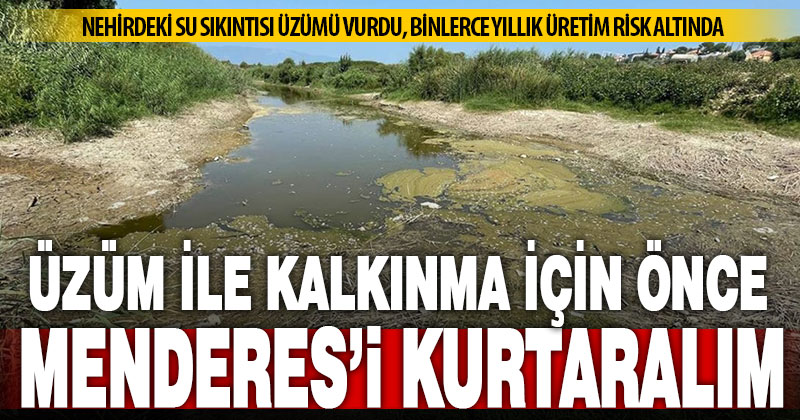 Çal bağcılığı çalıştayında, “Menderes’i kurtarın” feryadı