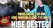 İŞKUR’un engelli ve eski hükümlülere hibe desteği başvuruları başladı