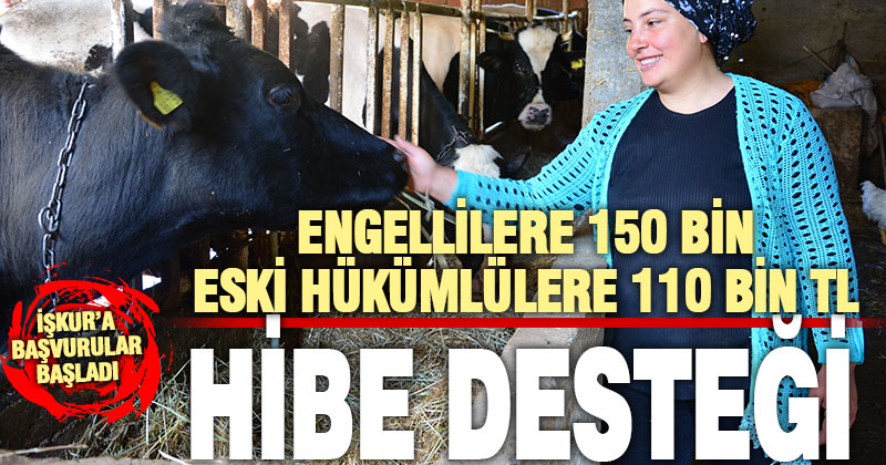 İŞKUR’un engelli ve eski hükümlülere hibe desteği başvuruları başladı