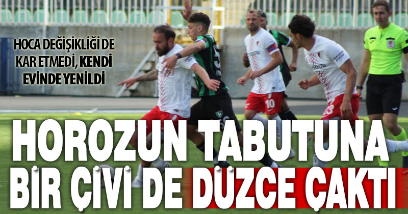 Denizlispor, Düzce’ye kendi evinde yenildi