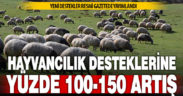 Yeni yıl için uygulanacak hayvancılık destekleri artırıldı