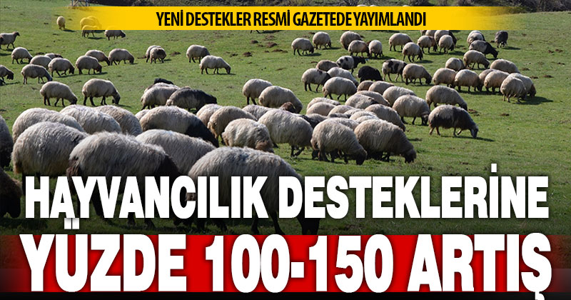 Yeni yıl için uygulanacak hayvancılık destekleri artırıldı