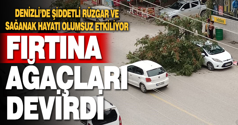 Denizli’de etkili olan fırtınada ağaçlar devrildi
