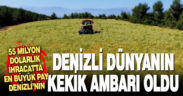 Denizli dünyanın kekik ambarı haline geldi