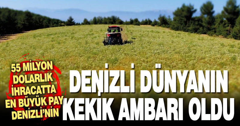 Denizli dünyanın kekik ambarı haline geldi