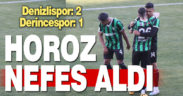 Denizlispor: 2 – Derincespor: 1