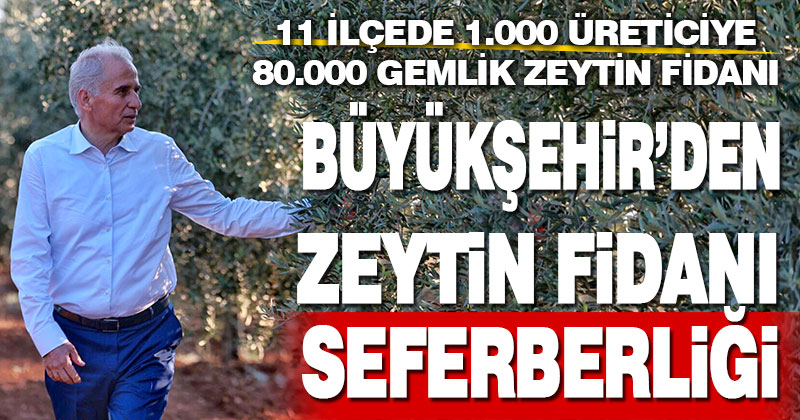 Büyükşehir’den zeytin fidanı seferberliği