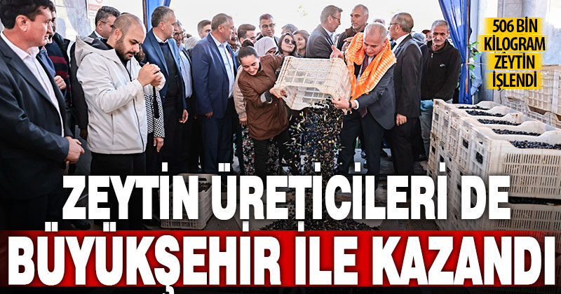 Zeytin üreticileri de Büyükşehir ile kazandı: 506 bin kilogram zeytin işlendi